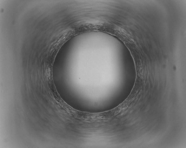 X0000073441061200608111319