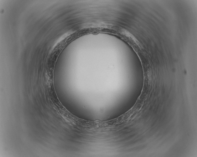 X0000073441064200608111319