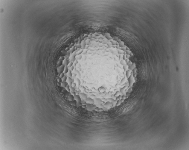 X0000073441105200608111318