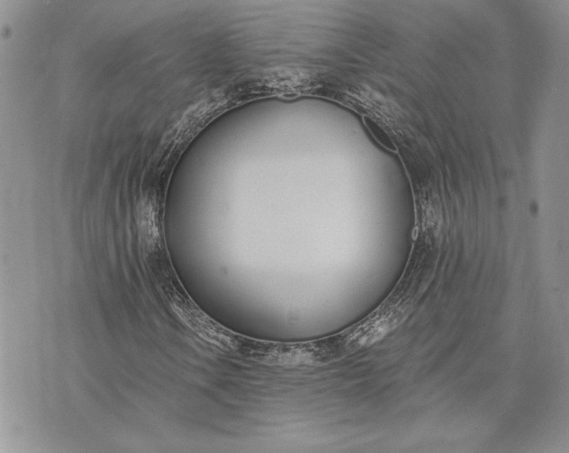 X0000073441106200608111318