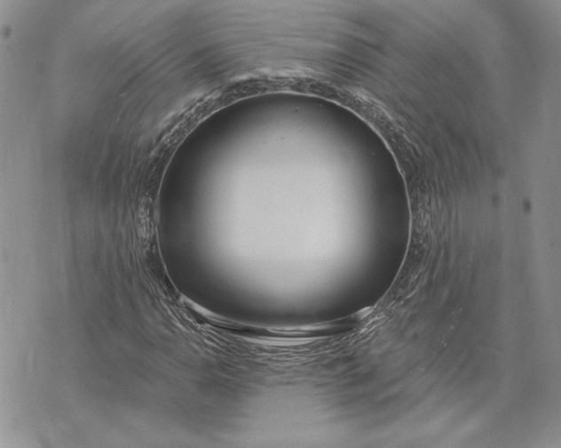 X0000073441110200608111318