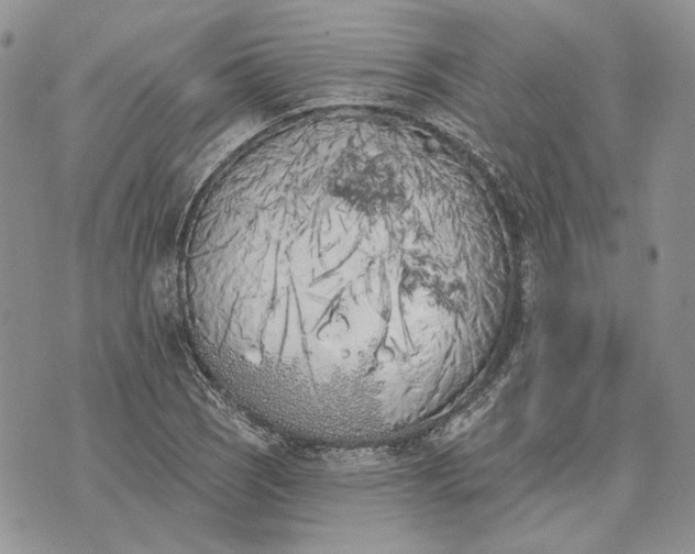 X0000073441121200608111318