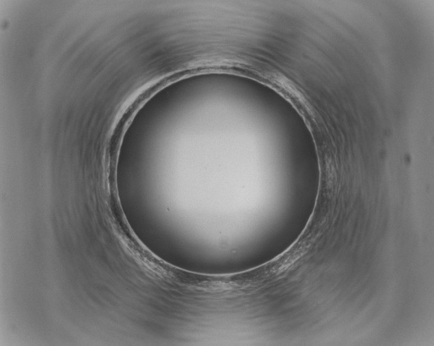 X0000073441124200608111318
