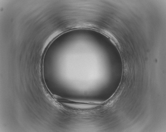 X0000073441138200608111318