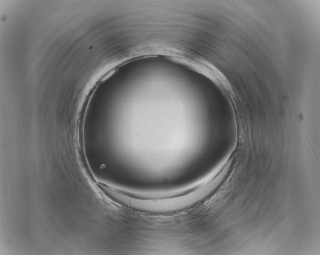 X0000073441144200608111319
