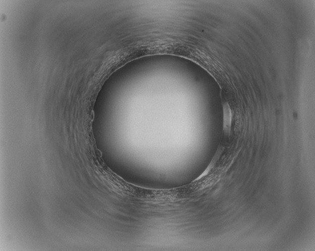 X0000073441153200608111318
