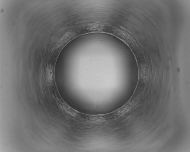 X0000073441154200608111318