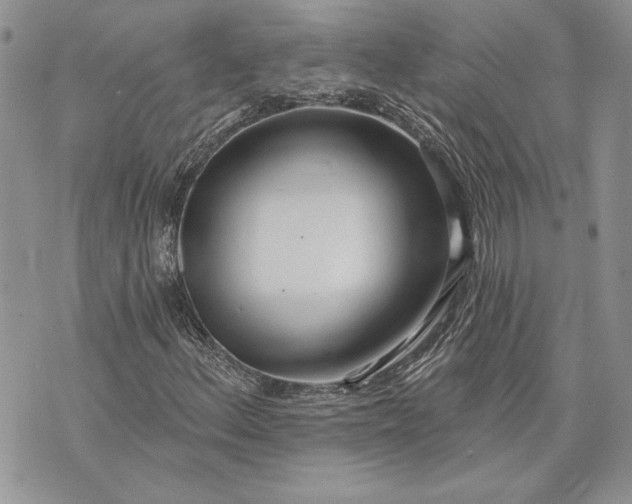 X0000073441156200608111318