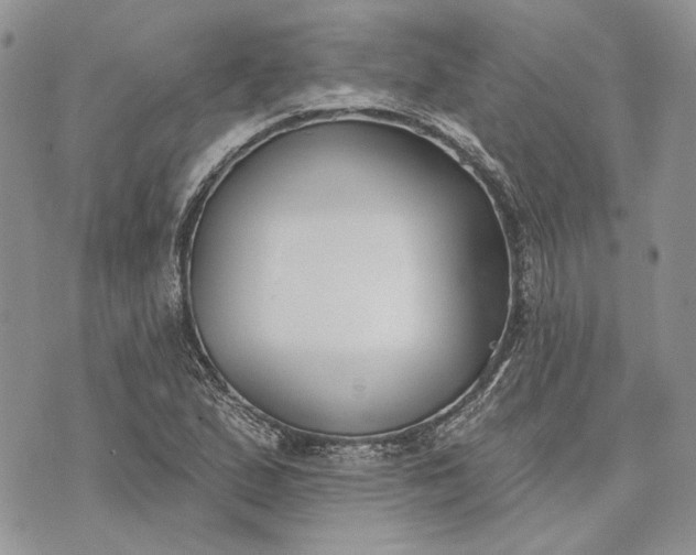 X0000073441167200608111318