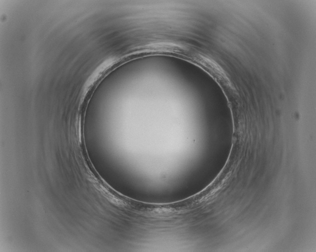 X0000073441180200608111317