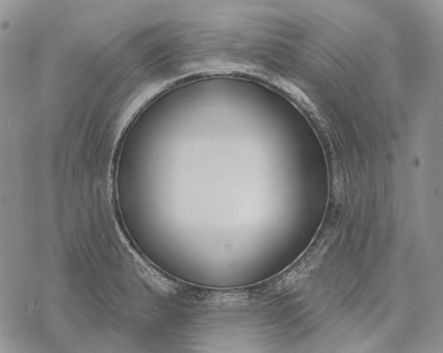 X0000073441183200608111317