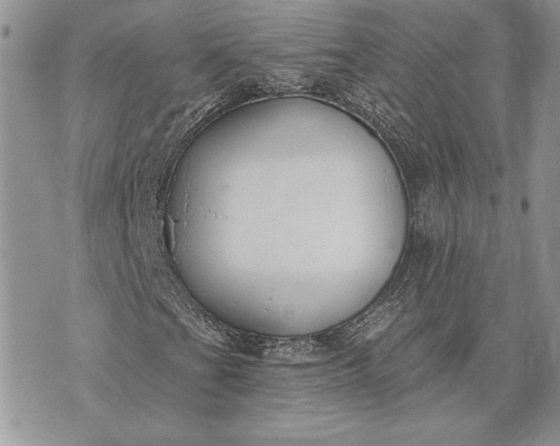 X0000073441201200608111316