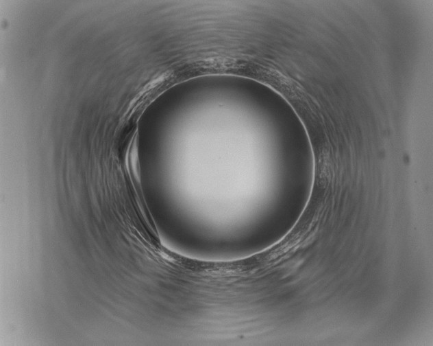 X0000073441202200608111316