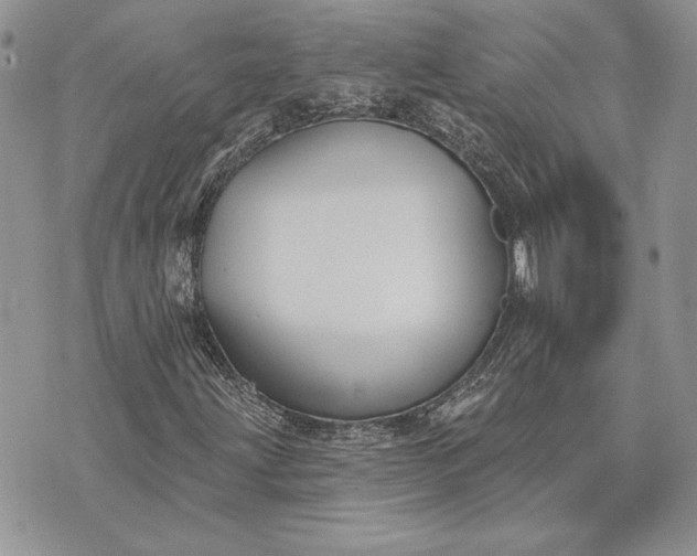 X0000073441203200608111316
