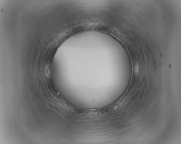 X0000073441204200608111316