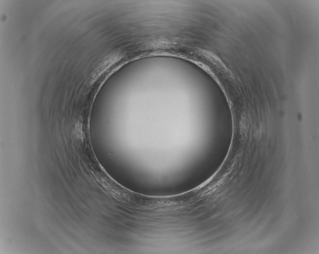 X0000073441209200608111317