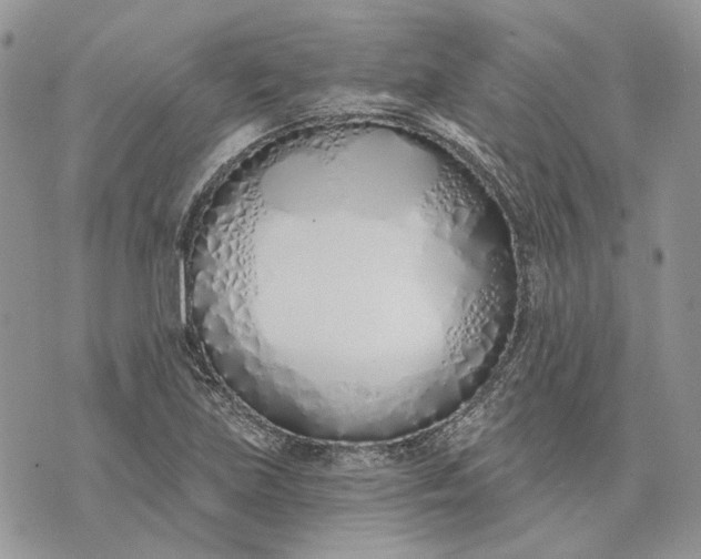X0000073441219200608111317