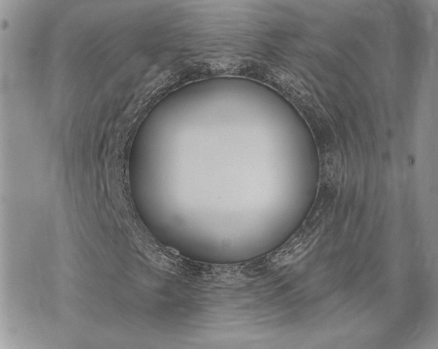 X0000073441249200608111316