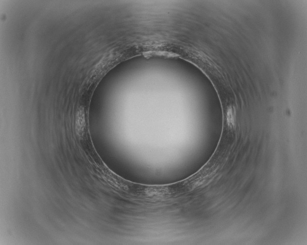 X0000073441299200608111315
