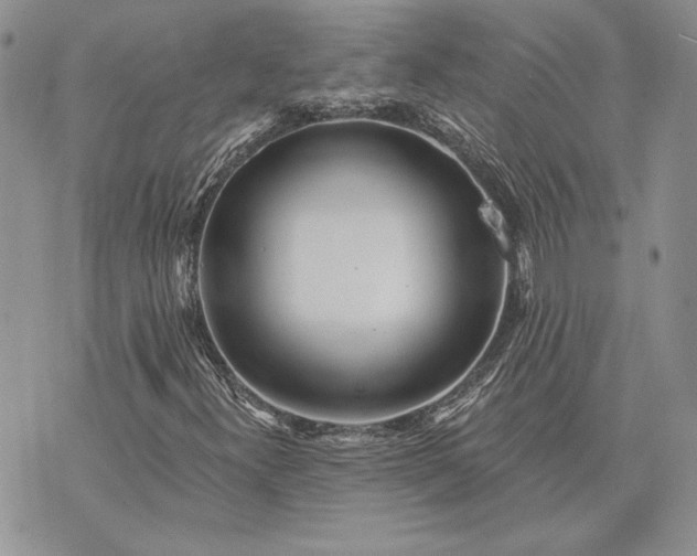 X0000073441300200608111315