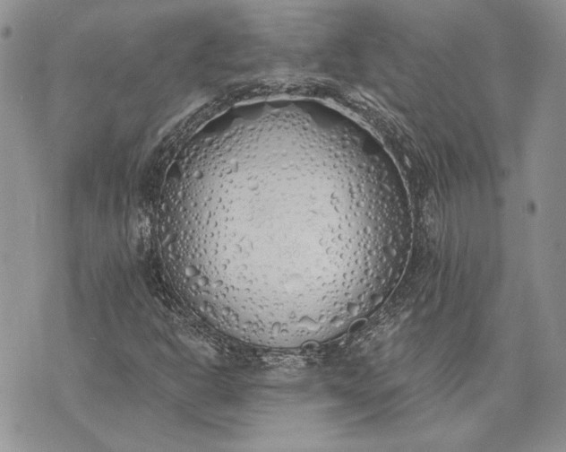 X0000073441302200608111315