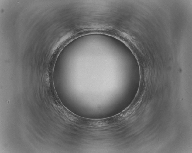 X0000073441307200608111315