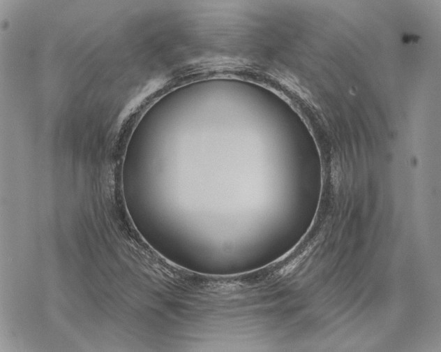 X0000073441309200608111315