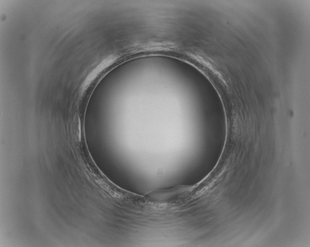 X0000073441317200608111315