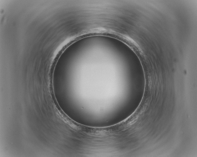 X0000073441326200608111315