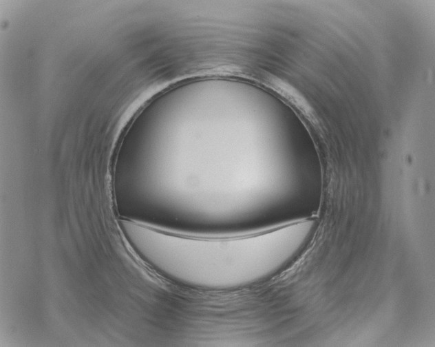 X0000073441332200608111315
