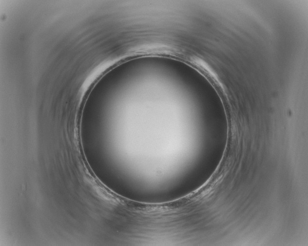 X0000073441336200608111315