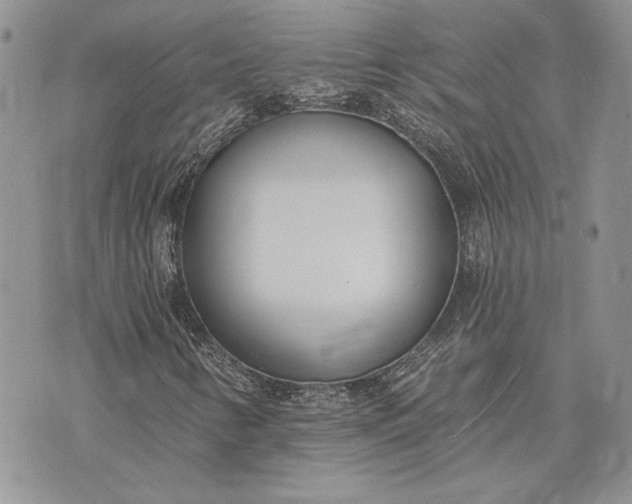 X0000073441346200608111315