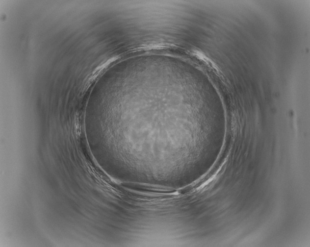 X0000073441353200608111315