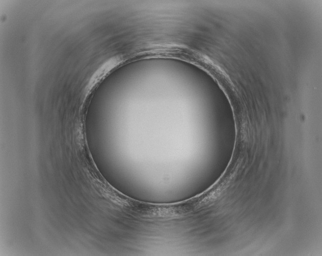X0000073441362200608111315