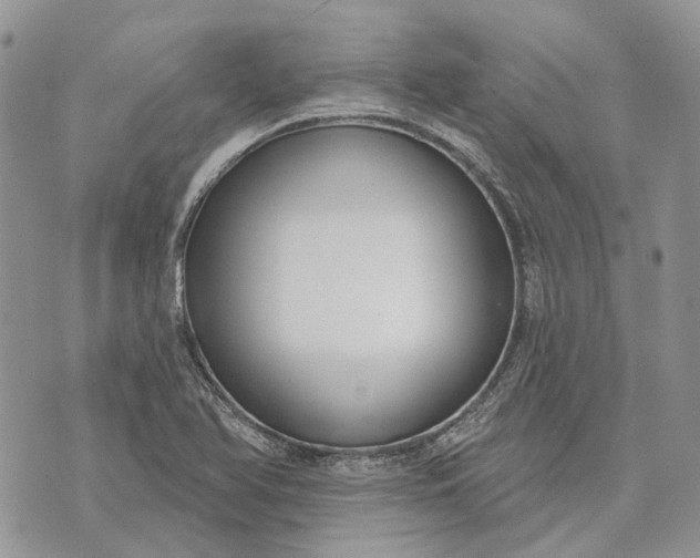 X0000073441366200608111314