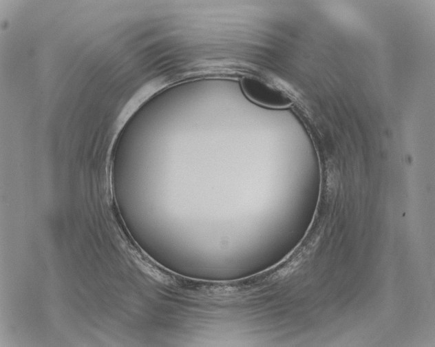 X0000073441370200608111314
