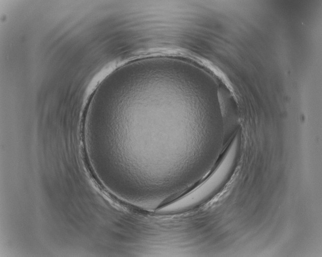 X0000073441373200608111314