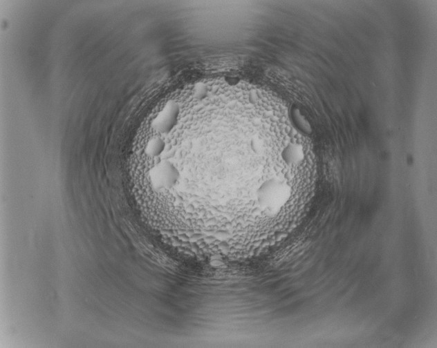 X0000073441393200608111313