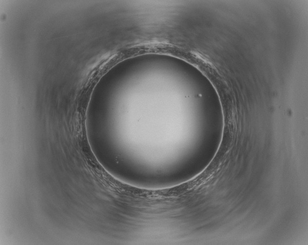 X0000073441398200608111313