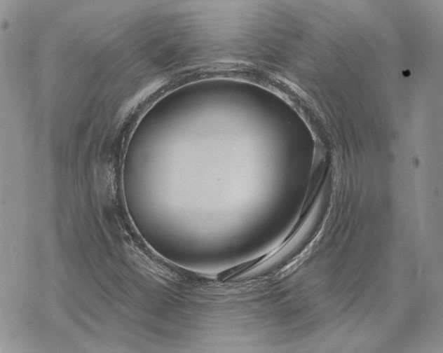 X0000073441402200608111313