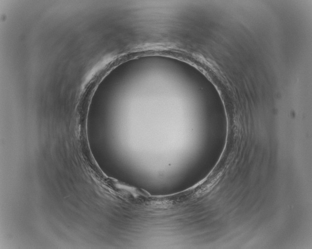 X0000073441406200608111313