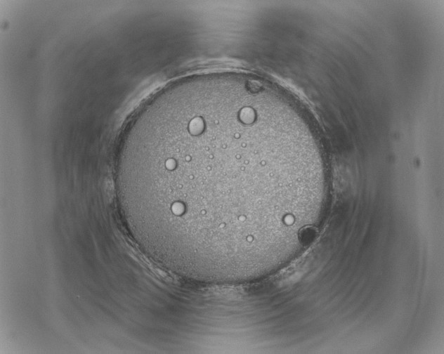 X0000073441407200608111313