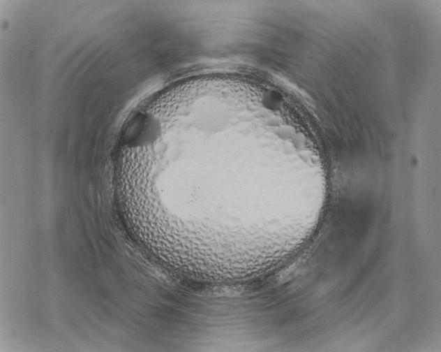 X0000073441411200608111314