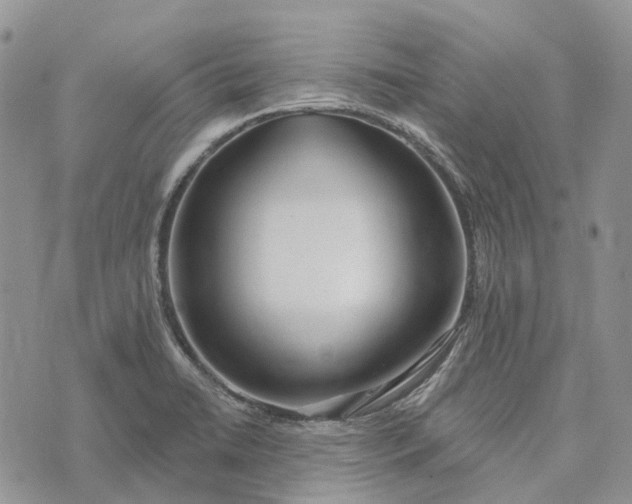 X0000073441422200608111314