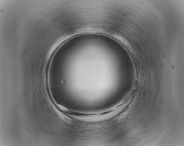 X0000073441430200608111314