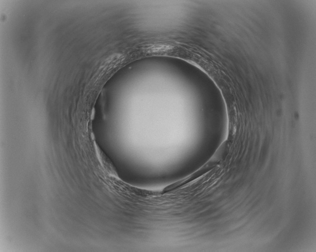 X0000073441441200608111313
