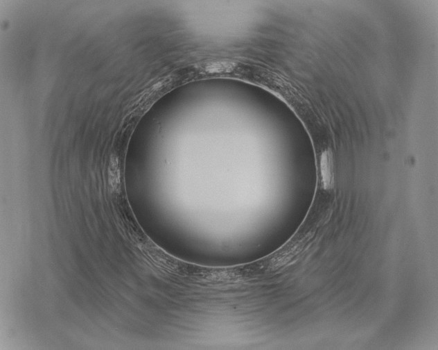 X0000073441443200608111313