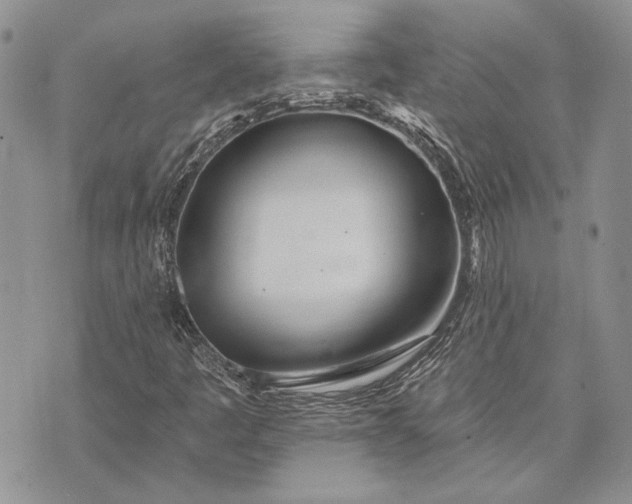 X0000073441445200608111313