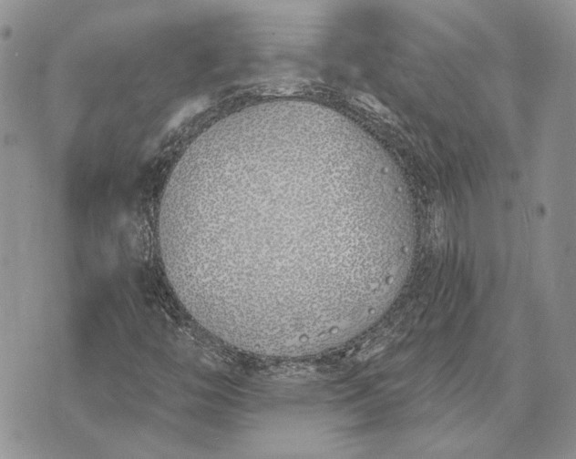 X0000073441446200608111313