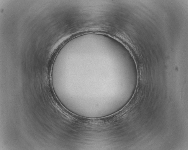 X0000073441452200608111313